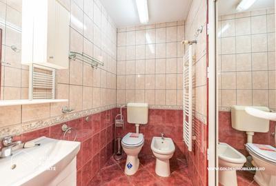 Vilă zona Podgoria, 140mp, 5 camere, 2 bai, garaj - 18