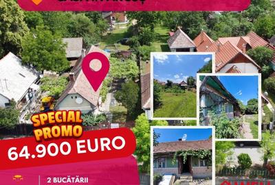 Casă individuală cu 3 camere în Arcuș