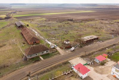 Fermă cu teren intravilan de 35000 mp în Mișca - 26