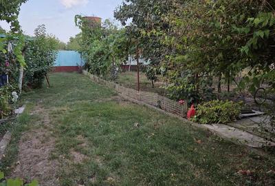 Casă și teren 2177 mp Ortisoara -28ml front-comision 0 - 12