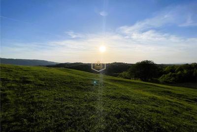 Teren de 9.500 mp in Maramures | Varf de deal, priveliste de pus in rama | Retre - 12
