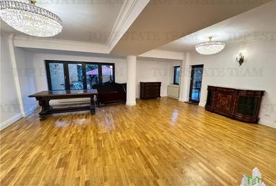 Vila pretabila rezidenta/office Iancu Nicolae - 3