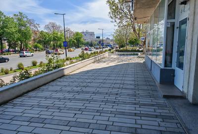 SPATIU COMERCIAL IN INTERSECTIA DACIA - 8