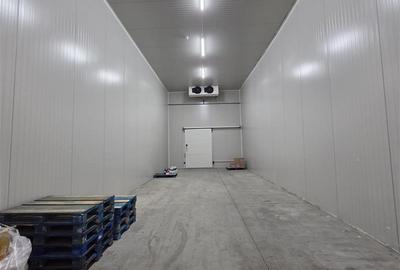 Inchiriere depozit frigorific congelare/hala/spatiu industrial Otopeni - Centura - 25