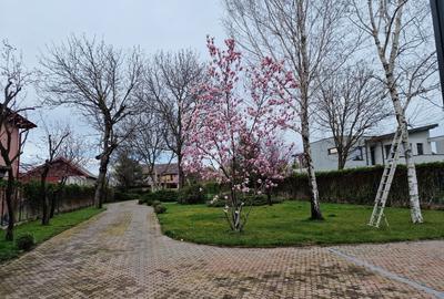 Buftea teren 700 mp SUPERB cu AConstruire P+1E - 3