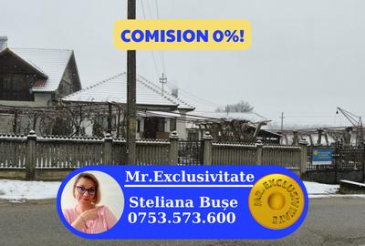 Proprietate rară – 2 case + livadă, vie și teren generos, la 20 km de Târgu Jiu - 1