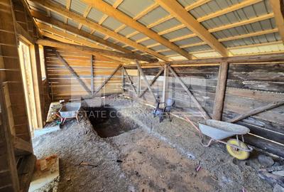 Casă la roșu la 165000 euro I Pe teren de 32 de ari I Măneuți - 18