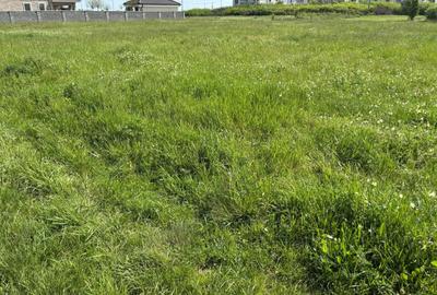 Teren 1239 mp front 29 in Aradul nou - 9