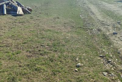 Teren Intravilan comuna Osorhei Bihor. - 10