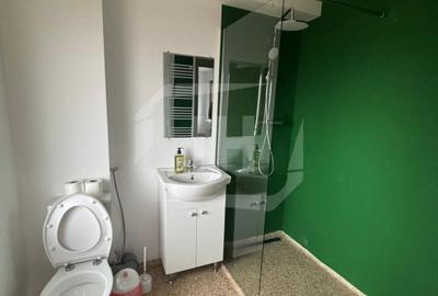 Cabana/Pensiune/Locuinta cu privire la lac! - 19