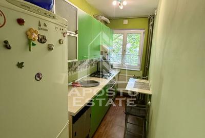 Apartament 2 camere de inchiriat, Dambovita, Timisoara - 8