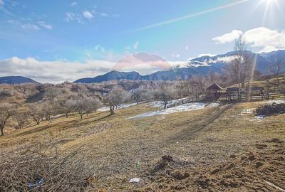 Comision 0%| Teren intravilan Sohodol 2495 mp| Apa si curent - 6