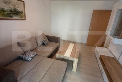 Apartament zona linistita, 2 camere, decomandat, centrala proprie noua - 3