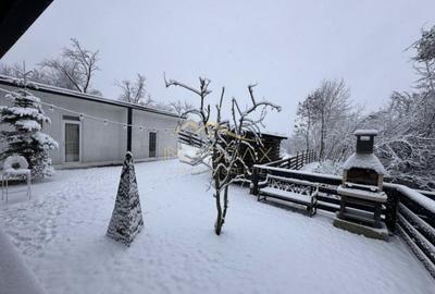 Casa de vacanta**Panorama spectaculoasa//Provita de Jos_Prahova - 16