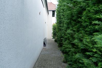 Spațiu de Birou I 100 Mp I Grădină + Boxă I Semicentral - 12