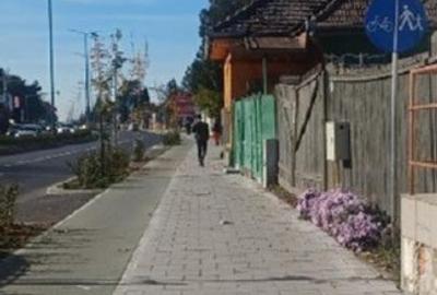 Vand 3413 mp teren intravilan - 16