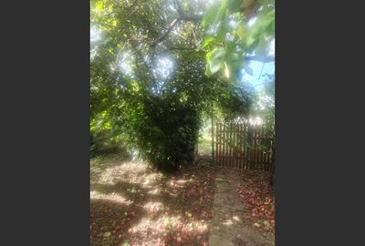 Casa Baicoi zona Schela - 11