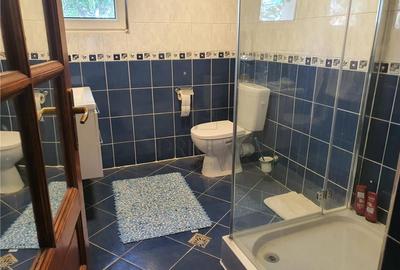 CALEA SAGULUI, OPORTUNITATE DE INVESTITIE CASA INDIVIDUALA CU SAD (SPATIU ALTA D - 11