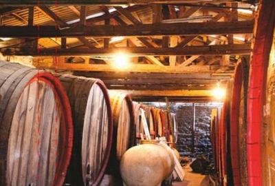 Cramă complet funcțională in inima Podgoriei Odobești - 8