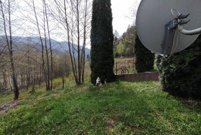 Proprietate de vacanta Valea Oltului - BREZOI - 4