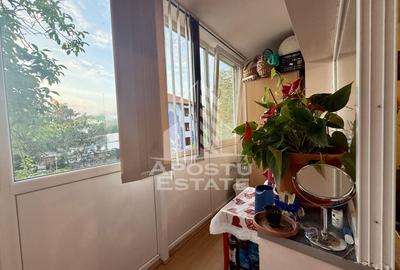 Apartament 3 camere de vanzare Complexul Studentesc Timisoara - 8