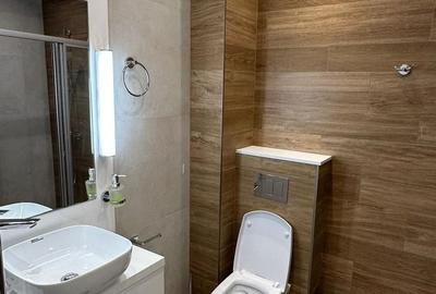 Apartament cu doua camere in zona Palazu Mare mobiliat /utilat nou - 13