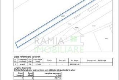 Teren industrial- Timișul Sec oportunitate investițională - 9