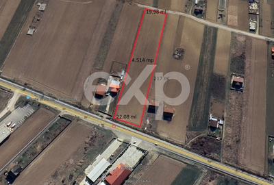 Teren intravilan 4514 mp de vanzare, Luizi Calugara - 5