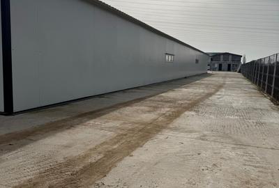 Hala Service Auto Utilata + Birouri - Splaiul Unirii - Grigorescu - Salajan - 8