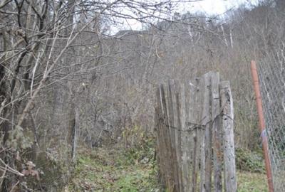 Teren intravilan 2.194 mp, VALCEA, BREZOI - 2