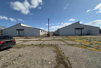 Hala depozitare - productie Iasi, Ciohorani, 3510mp - 7