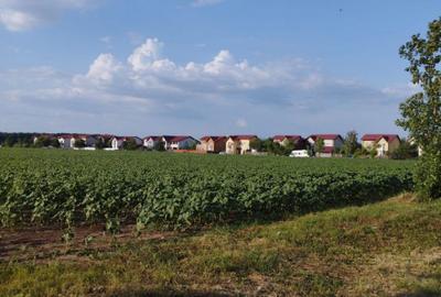 Teren Construcții intravilan de 5000 mp, în Balotești