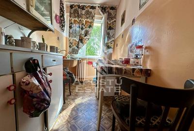 Apartament cu 2 camere de vanzare, zona Sagului, Timisoara - 4