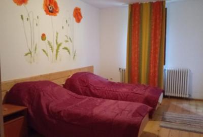 Casa de vacanta Crivaia, langa Valiug –locatie idilica, ideala pentru timp liber - 18