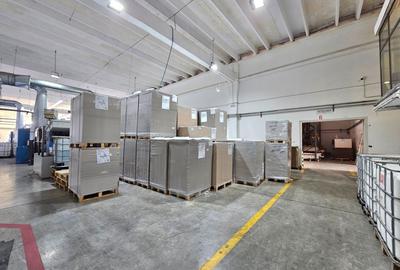 Hale Industriale 5065 mp de vanzare Str. Bradului - Bacau - 4