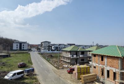 Vile individuale padurea Rosu - 9