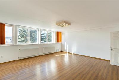 Birouri care iti duc afacerea la nivelul urmator! - 17