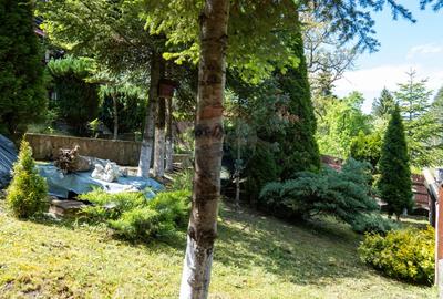 Oferta - vanzare pensiune 10 camere si casa de vacanta, Slanic Prahova - 27
