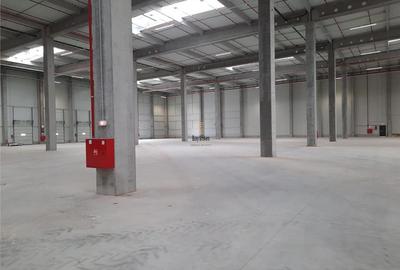 Spatiu Industrial - 1800 mp - Logistica - Productie - Depozitare - Distributie - 6