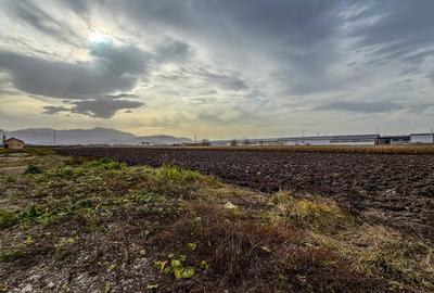 Teren industrial, intravilan, cu utilitati, Stupini, 11.600 mp - 1