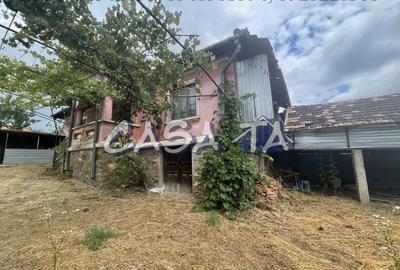 Casa 3 Camere + Teren aferent (5385mp) si Anexe, Balcesti - 4