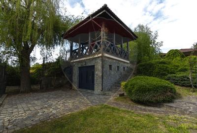 Arhitectura din Piatra si Lemn pe Malul Lacului Mogosoaia - 23
