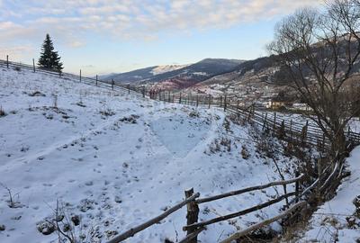 Teren 2,833mp Vatra Dornei / None - 3