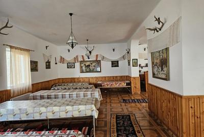 Vanzare amplasament industrial-servicii Tatarasti, Teleorman - 19