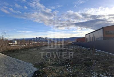 Teren intravilan la intrare in Cristian, pentru constructii industriale - 7