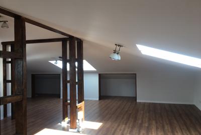 Inchiriere Vila De Lux Baneasa Sisesti - 29