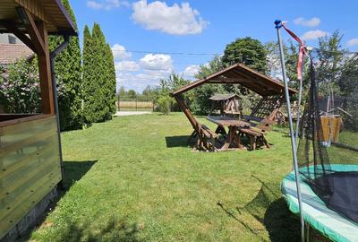 CASA VACANTA-zona pitoreasca minunata - 9