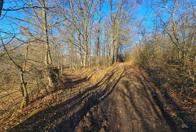 Teren intravilan 2.000 mp – Seciu, 2 deschideri, Priveliște panoramica - 14