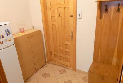 De inchiriat - garsoniera, strada Brailei (Kaufland) - mobilata, 250 euro - 2