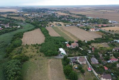 Casa de vacanta / spatiu comercial de vanzare – Frumusani - 6